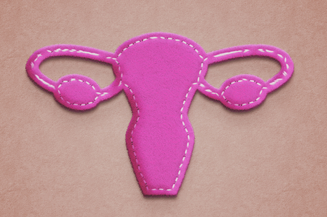 Fabric depiction of female reproductive system